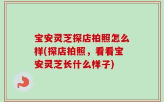 宝安灵芝探店拍照怎么样(探店拍照，看看宝安灵芝长什么样子)