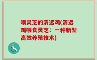 喂灵芝的清远鸡(清远鸡喂食灵芝：一种新型高效养殖技术)