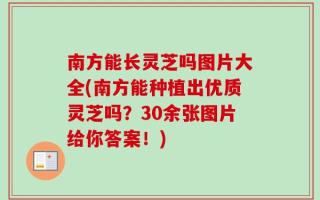南方能长灵芝吗图片大全(南方能种植出优质灵芝吗？30余张图片给你答案！)