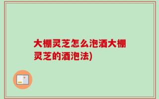 大棚灵芝怎么泡酒大棚灵芝的酒泡法)