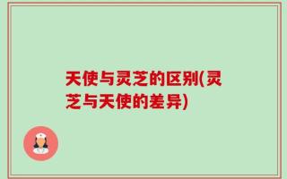 天使与灵芝的区别(灵芝与天使的差异)
