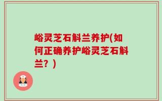 峪灵芝石斛兰养护(如何正确养护峪灵芝石斛兰？)