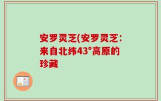 安罗灵芝(安罗灵芝：来自北纬43°高原的珍藏 