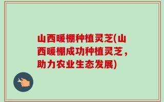 山西暖棚种植灵芝(山西暖棚成功种植灵芝，助力农业生态发展)