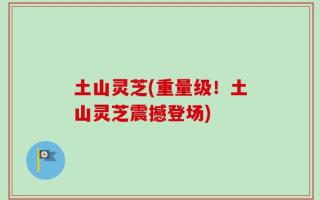 土山灵芝(重量级！土山灵芝震撼登场)