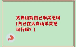 太白山能自己采灵芝吗(自己在太白山采灵芝可行吗？)