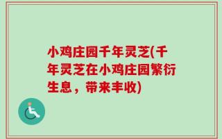 小鸡庄园千年灵芝(千年灵芝在小鸡庄园繁衍生息，带来丰收)