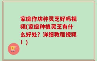 家庭作坊种灵芝好吗视频(家庭种植灵芝有什么好处？详细教程视频！)
