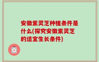 安徽紫灵芝种植条件是什么(探究安徽紫灵芝的适宜生长条件)