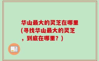 华山最大的灵芝在哪里(寻找华山最大的灵芝，到底在哪里？)