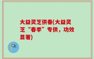 大益灵芝供春(大益灵芝“春季”专供，功效显著)