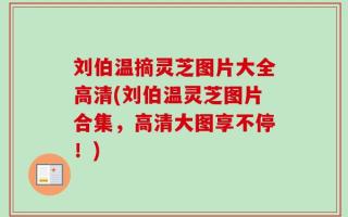 刘伯温摘灵芝图片大全高清(刘伯温灵芝图片合集，高清大图享不停！)