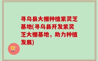 寻乌县大棚种植紫灵芝基地(寻乌县开发紫灵芝大棚基地，助力种植发展)