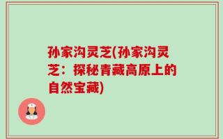 孙家沟灵芝(孙家沟灵芝：探秘青藏高原上的自然宝藏)