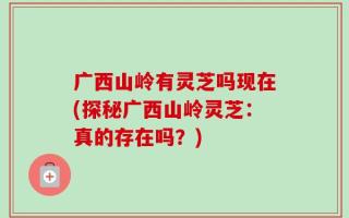 广西山岭有灵芝吗现在(探秘广西山岭灵芝：真的存在吗？)