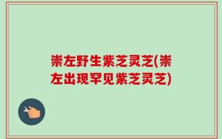 崇左野生紫芝灵芝(崇左出现罕见紫芝灵芝)
