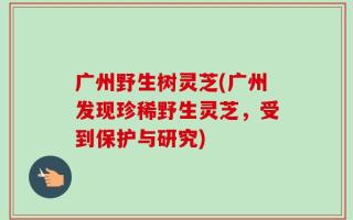 广州野生树灵芝(广州发现珍稀野生灵芝，受到保护与研究)
