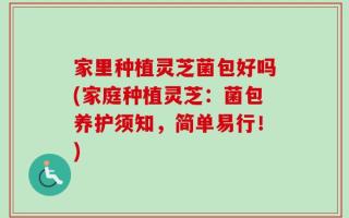 家里种植灵芝菌包好吗(家庭种植灵芝：菌包养护须知，简单易行！)