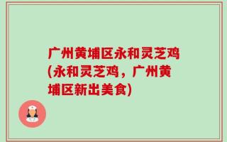 广州黄埔区永和灵芝鸡(永和灵芝鸡，广州黄埔区新出美食)