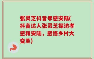 张灵芝抖音孝感安陆(抖音达人张灵芝探访孝感和安陆，感悟乡村大变革)