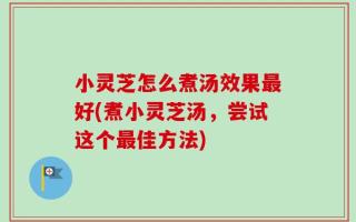 小灵芝怎么煮汤效果最好(煮小灵芝汤，尝试这个最佳方法)