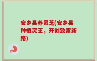 安乡县养灵芝(安乡县种植灵芝，开创致富新路)