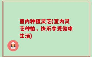 室内种植灵芝(室内灵芝种植，快乐享受健康生活)