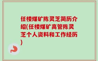 任楼煤矿陈灵芝简历介绍(任楼煤矿高管陈灵芝个人资料和工作经历)