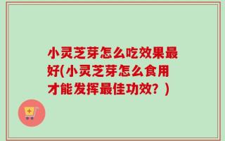 小灵芝芽怎么吃效果最好(小灵芝芽怎么食用才能发挥最佳功效？)