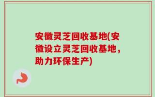 安徽灵芝回收基地(安徽设立灵芝回收基地，助力环保生产)