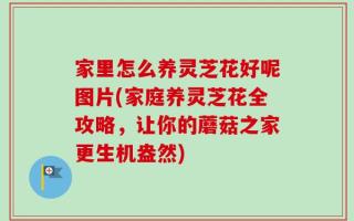 家里怎么养灵芝花好呢图片(家庭养灵芝花全攻略，让你的蘑菇之家更生机盎然)