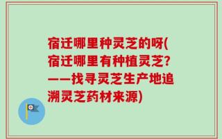 宿迁哪里种灵芝的呀(宿迁哪里有种植灵芝？——找寻灵芝生产地追溯灵芝药材来源)