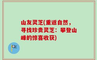 山友灵芝(重返自然，寻找珍贵灵芝：攀登山峰的惊喜收获)
