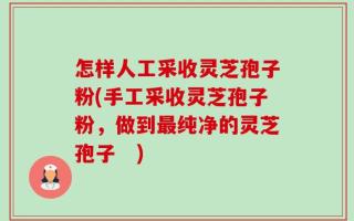 怎样人工采收灵芝孢子粉(手工采收灵芝孢子粉，做到最纯净的灵芝孢子　)