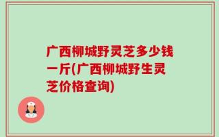 广西柳城野灵芝多少钱一斤(广西柳城野生灵芝价格查询)