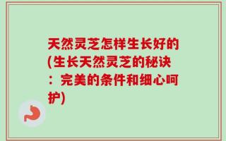 天然灵芝怎样生长好的(生长天然灵芝的秘诀：完美的条件和细心呵护)