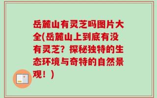 岳麓山有灵芝吗图片大全(岳麓山上到底有没有灵芝？探秘独特的生态环境与奇特的自然景观！)