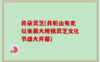 彝朵灵芝(彝舵山有史以来最大规模灵芝文化节盛大开幕)