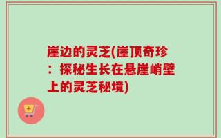 崖边的灵芝(崖顶奇珍：探秘生长在悬崖峭壁上的灵芝秘境)