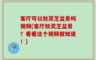 客厅可以放灵芝盆景吗视频(客厅放灵芝盆景？看看这个视频就知道！)