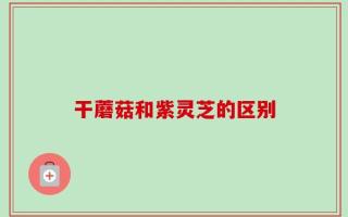 干蘑菇和紫灵芝的区别