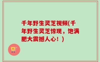 千年野生灵芝视频(千年野生灵芝惊现，饱满肥大震撼人心！)