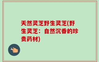 天然灵芝野生灵芝(野生灵芝：自然沉香的珍贵药材)