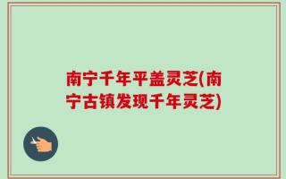 南宁千年平盖灵芝(南宁古镇发现千年灵芝)