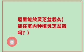 屋里能放灵芝盆栽么(能在室内种植灵芝盆栽吗？)