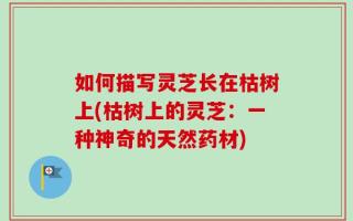 如何描写灵芝长在枯树上(枯树上的灵芝：一种神奇的天然药材)