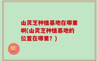 山灵芝种植基地在哪里啊(山灵芝种植基地的位置在哪里？)