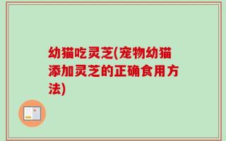 幼猫吃灵芝(宠物幼猫添加灵芝的正确食用方法)