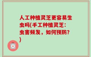 人工种植灵芝更容易生虫吗(手工种植灵芝：虫害频发，如何预防？)
