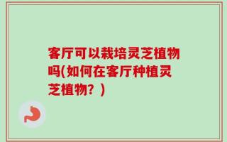 客厅可以栽培灵芝植物吗(如何在客厅种植灵芝植物？)